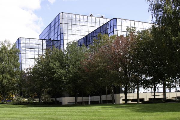 Commercial Tree Trimming in Falls Church